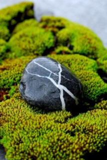 Stone on moss