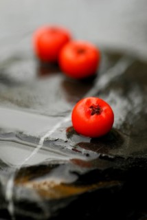 Firethornberries (Pyracantha) on stone
