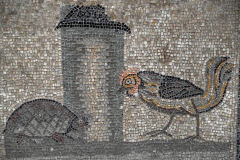 Early Christian floor mosaic from the 4th century, Basilica Santa Maria Assunta, Unesco World