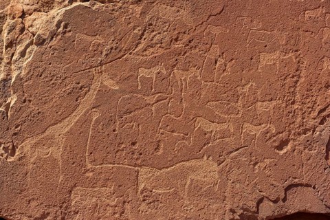 Neolithic rock engravings with different animals, Twyfelfontein, region Kunene, Namibia, Africa
