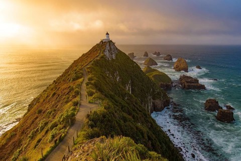 Nugget Point and lighthouse with sunrise at South Island, New Zealand, Oceania