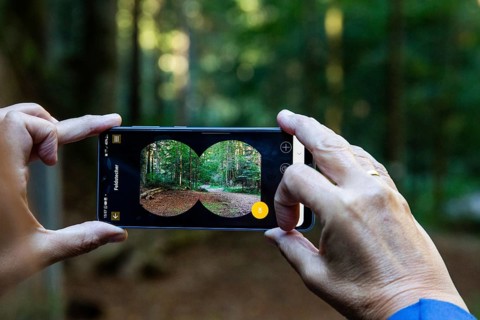 Autumn mood, hiker checks autumn forest on a smartphone, Weitental near Bruck an der Mur, Styria,