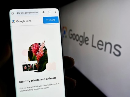 Stuttgart, Germany, 09-23-2023: Person holding smartphone with webpage of image recognition app