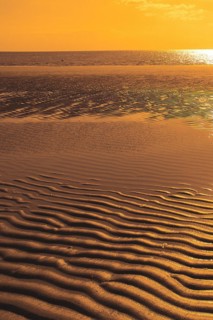 Sunset in the Wadden Sea, East Frisia, North Sea coast, North Sea coast, Lower Saxony, Federal