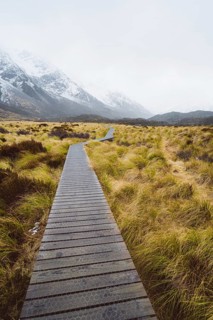 Wooden walkway through a landscape surrounded by grass with snow-capped mountains in the