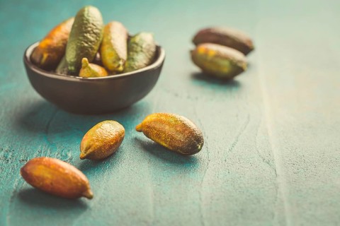 Australian finger lime or caviar lime, edible fruits used in gourmet cuisine. Citrus australasica