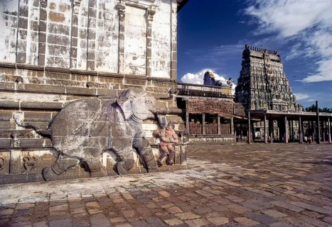 An elephant bas relief on the outer wall of the thousand pillared hall and eastern Rajagopuram