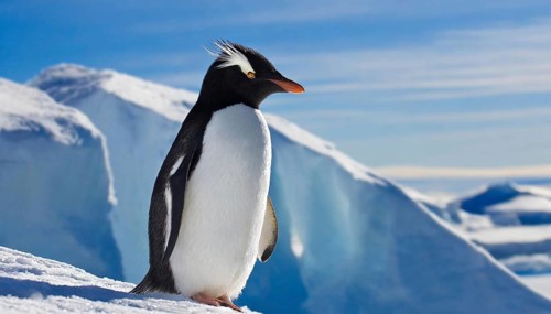 AI generated, animal, animals, bird, birds, biotope, habitat, one, individual, blue sky, winter,