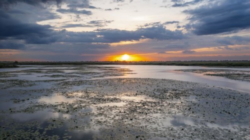 Danube Delta Sunset