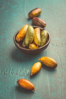 Australian finger lime or caviar lime, edible fruits used in gourmet cuisine. Citrus australasica