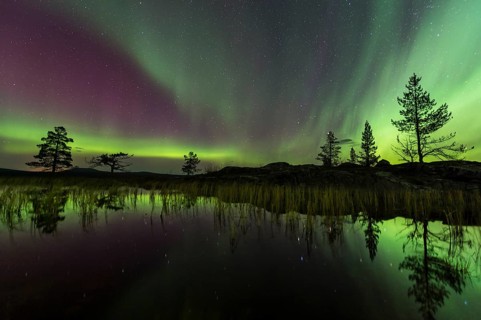 Northern Lights (Aurora borealis) reflected in a mountain lake, Gällivare, Norrbotten, Lapland,