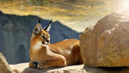 AI generated, animal, animals, mammal, mammals, biotope, habitat, a, individual, foraging,