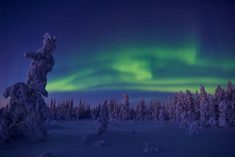 Northern Lights (Aurora borealis), Stubba Nature Reserve, Laponia World Heritage Site, Norrbotten,