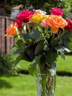 A vase of colourful Roses out in the garden