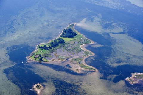 Warder Island off Westerbergen, Lemkenhafen, Fehmarn, Schleswig-Holstein, Germany, Europe