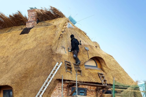 Thatcher processing thatch, Sylt Island, Schleswig-Holstein, Germany, Europe