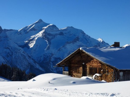 Snow covered Oldenhorn and facade of a old farmhouse, winterscene near Gstaad