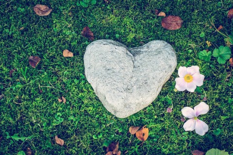 Heart concept: Stone in heart shape is lying on the green grass