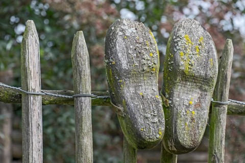Old clogs on your fence