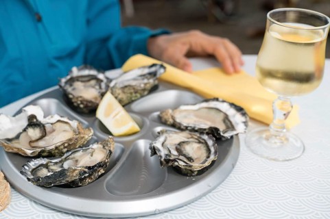 A close up of delicious fresh oysters on the half shell with a glass of French white wine