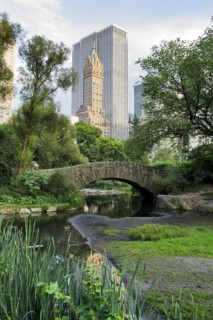 Gapstow bridge in Central Park. Central Park is a public park at the center of Manhattan, New York