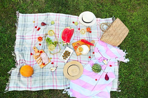Picnic background with white wine on green grass
