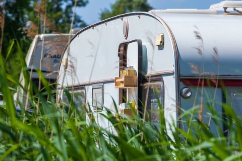 Caravan on a campsite, Hüde, Dümmer Lake, Diepholz district, Lower Saxony, Germany, Europe