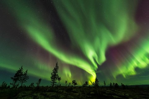 Northern Lights (Aurora borealis), Gällivare, Norrbotten, Lapland, Sweden, October 2013, Europe