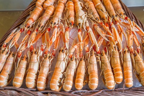Fresh langoustines at a market in Paris, France, Europe