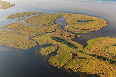 Small Werder Islands, Fischland-Darss-Zingst, National Park Vorpommersche Boddenlandschaft, Baltic