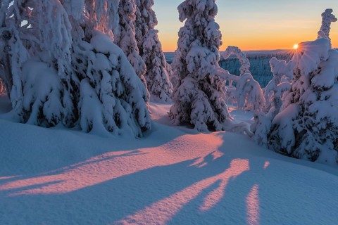 Winter landscape, Stubba Nature Reserve, Laponia World Heritage Site, Norrbotten, Lapland, Sweden,