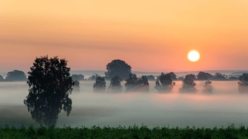 Foggy sunrise over the Donaumoos in Bavaria