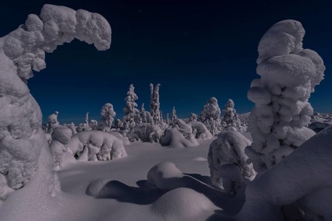 Snow-covered landscape in the moonlight, Gällivare, Norrbotten, Lapland, Sweden, December 2012,