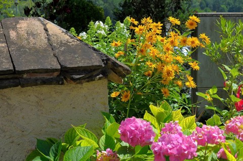 Peasant Garden, Wachau, Perennial Garden
