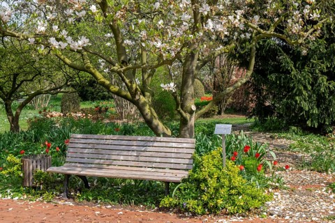 Spring in the District Teaching Garden