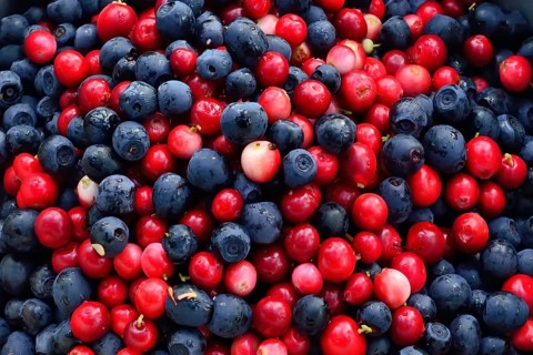 Ripe cranberries and blueberries close up. Natural background