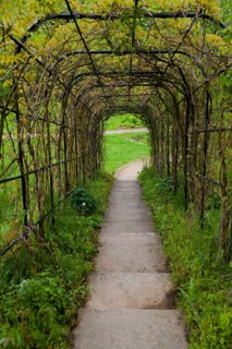 Medicinal plant garden, Celle, Lower Saxony, Germany, Europe