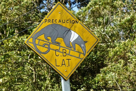 Roadsign precaution coatis