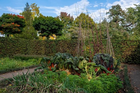 Autumn kitchen garden