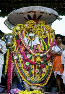 Lord Kumbeswara with goddess Mangalambigai in decorated Rishaba Vahanam places in the bank of the