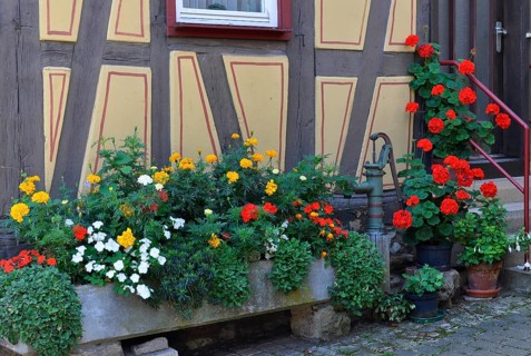 Fountain with summer flowers at the half-timbered house