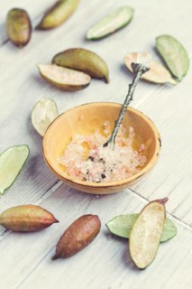 Australian finger lime or caviar lime, edible fruits used in gourmet cuisine. Citrus australasica