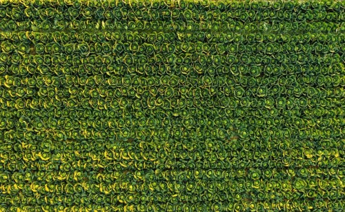 Sunset over a field of cabbage aerial view from above. Agriculture field background