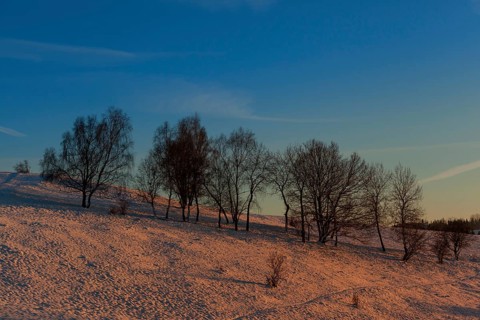 Evening red light in the Harz Mountains