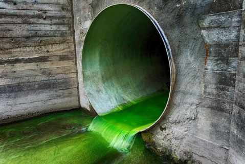 Bright green polluted effluent flowing through a drainage pipe exiting through a concrete wall in