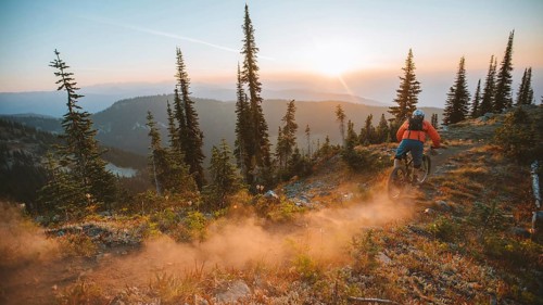 Mountain biker descending a forest trail at sunset, surrounded by trees and raising dust, Baldy