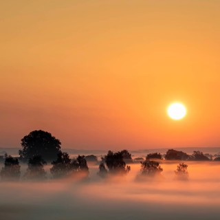 Foggy sunrise over the Donaumoos in Bavaria