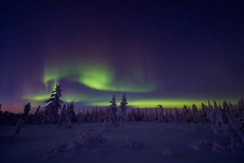 Northern Lights (Aurora borealis), Stubba Nature Reserve, Laponia World Heritage Site, Norrbotten,