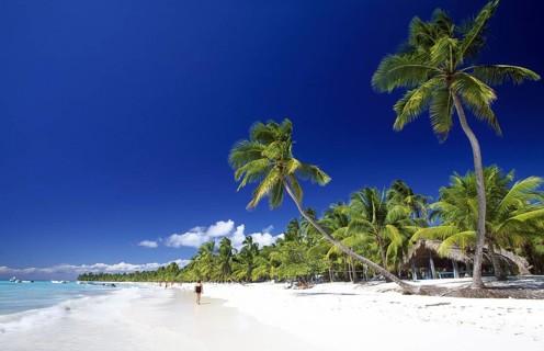 Palm Beach, National Park, Saona Island, Parque Nacional del Este, Dominican Republic, Central
