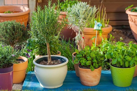 Outdoor flower pots for small garden, patio or terrace